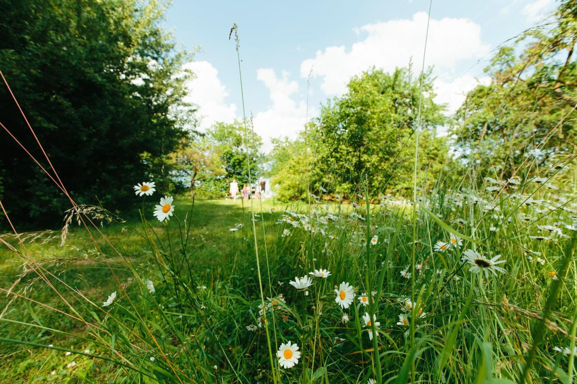 Feriendomizil Alter Garten Temmen-Ringenwalde Экстерьер фото