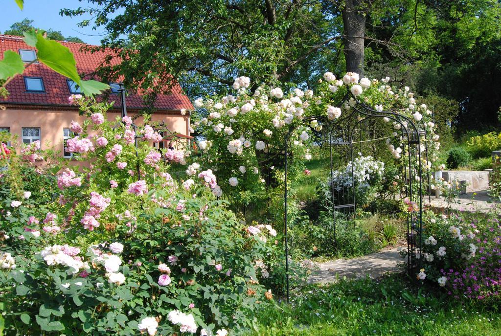 Feriendomizil Alter Garten Temmen-Ringenwalde Экстерьер фото