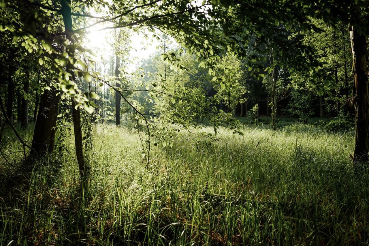 Feriendomizil Alter Garten Temmen-Ringenwalde Экстерьер фото
